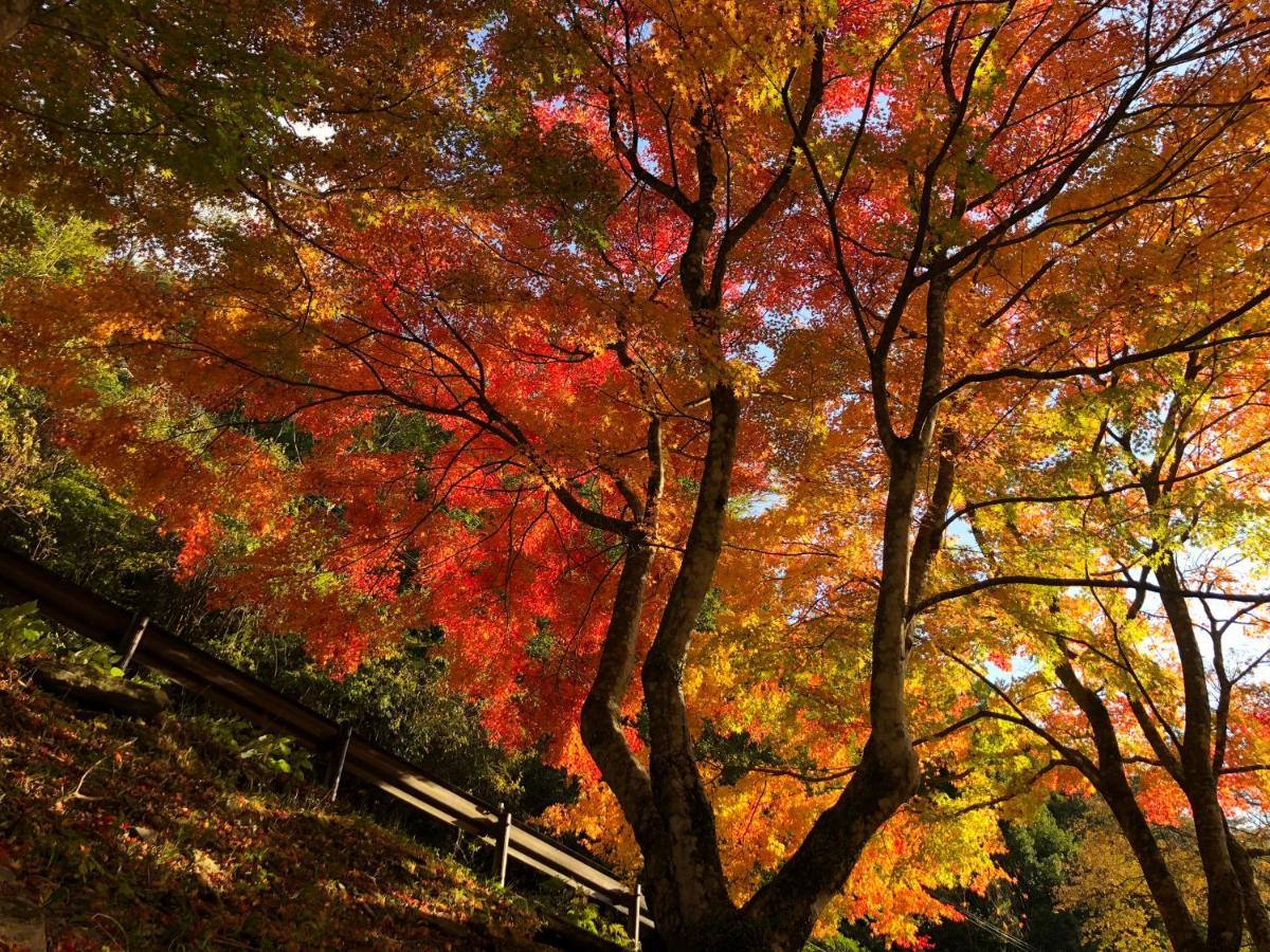 Kazuraya Miyoshi (Tokushima) Exterior foto